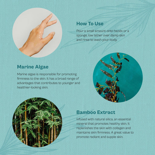 Marine Algae & Bambo Extract Boby Shower Gel (250ML)