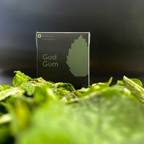 Charcoal Mint Gum- Pack of 2 (15 pieces per pack)