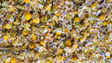 CALM – lavender – chamomile