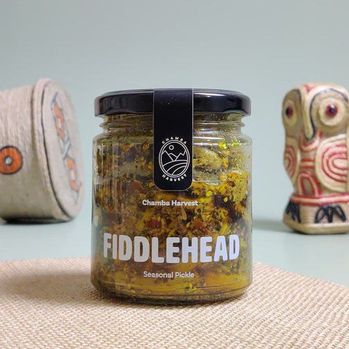 EXOTIC PICKLE - Fiddlehead Pickle