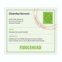 EXOTIC PICKLE - Fiddlehead Pickle