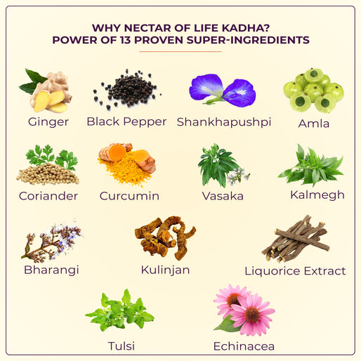 Instant Herbal Immunity Building Infusion Mix - The Nectar Of Life