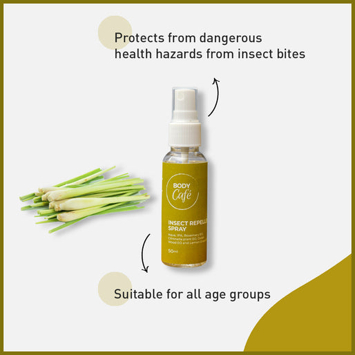 Insect - Repellent Spray