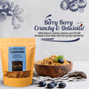 Blueberry Mocha Granola - 100% Natural, Gluten Free & Vegan Breakfast Cereal