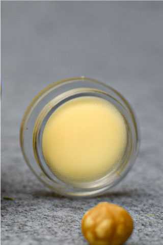 Hazelnut Lip Balm