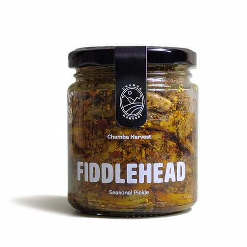 EXOTIC PICKLE - Fiddlehead Pickle